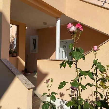 Gojko Apartment Biograd Na Moru