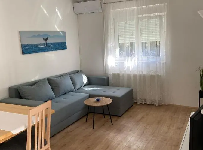 Gojko * Biograd Na Moru